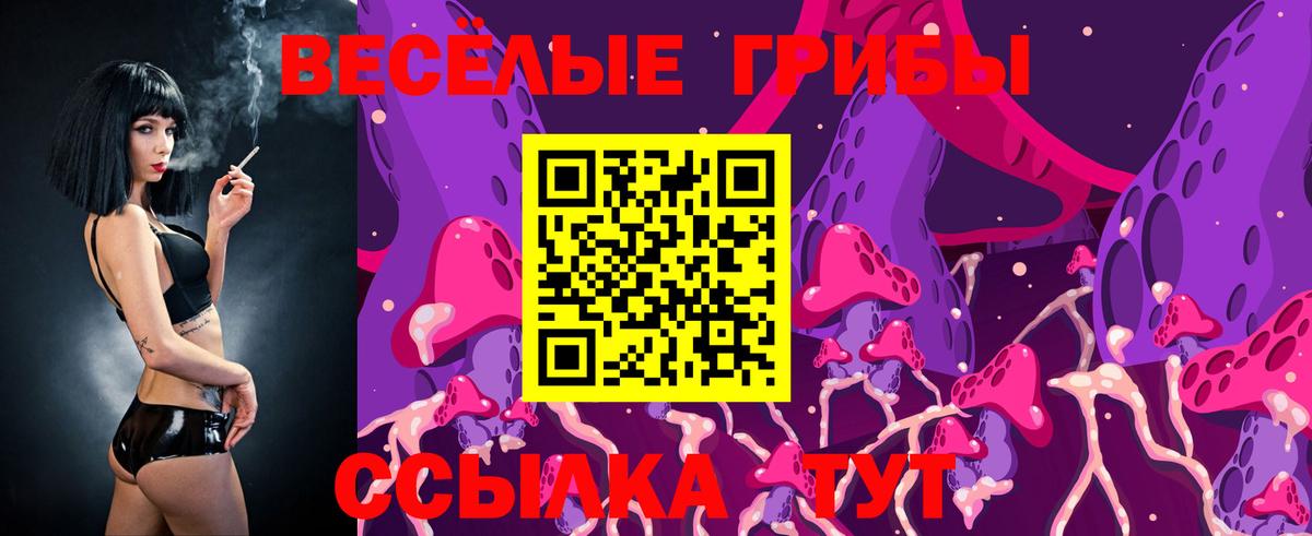 Галлюциногенные грибы Magic Shrooms  Вход с VPN  Псилоцибиновые грибы Psilocybe  Сосновый Бор 